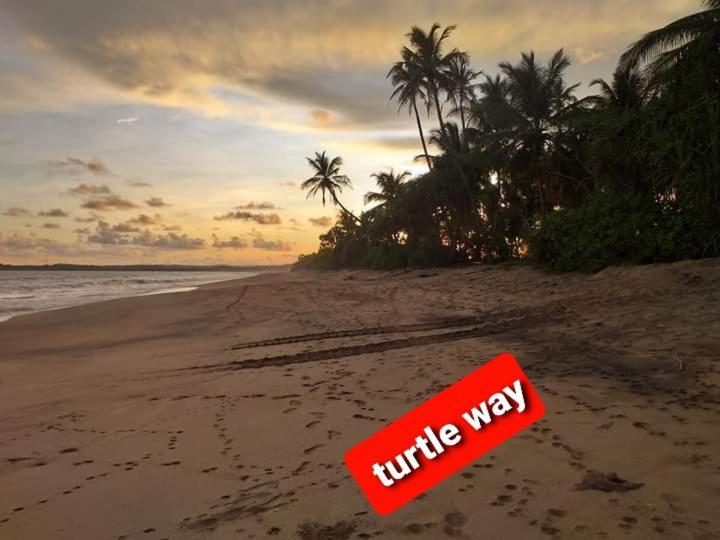 Star Sun Homestay Tangalle Exteriör bild