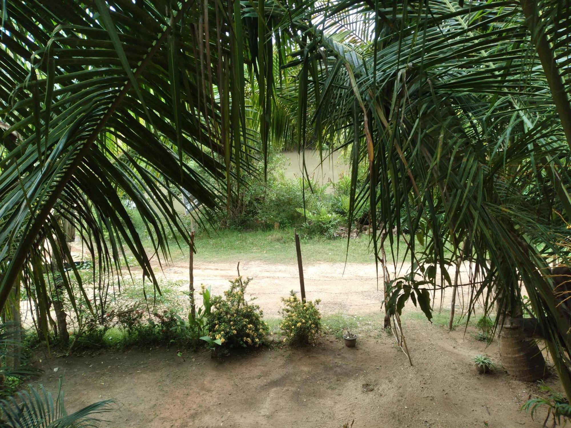 Star Sun Homestay Tangalle Exteriör bild